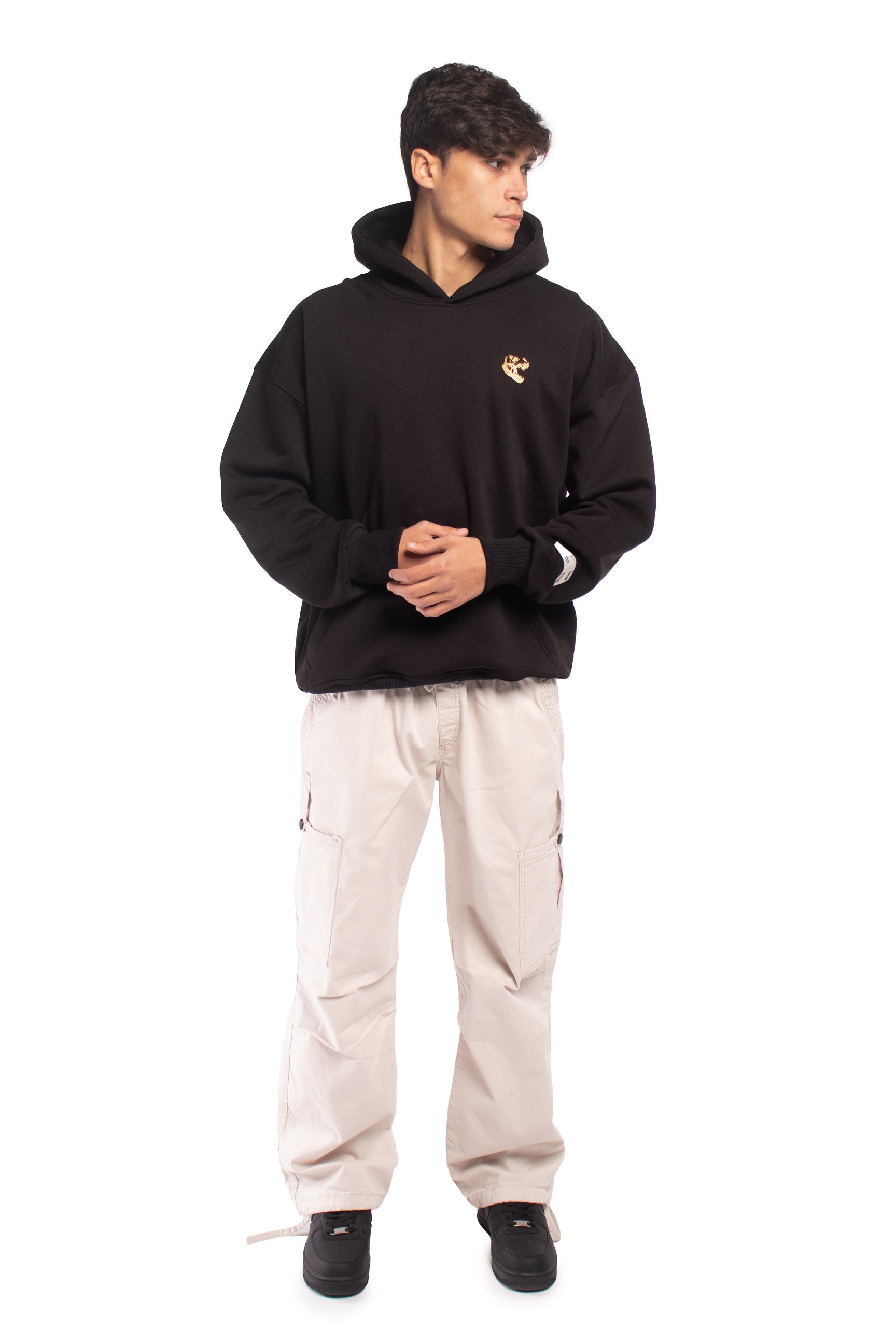 Black Dino 0.4 Oversized Hoodie