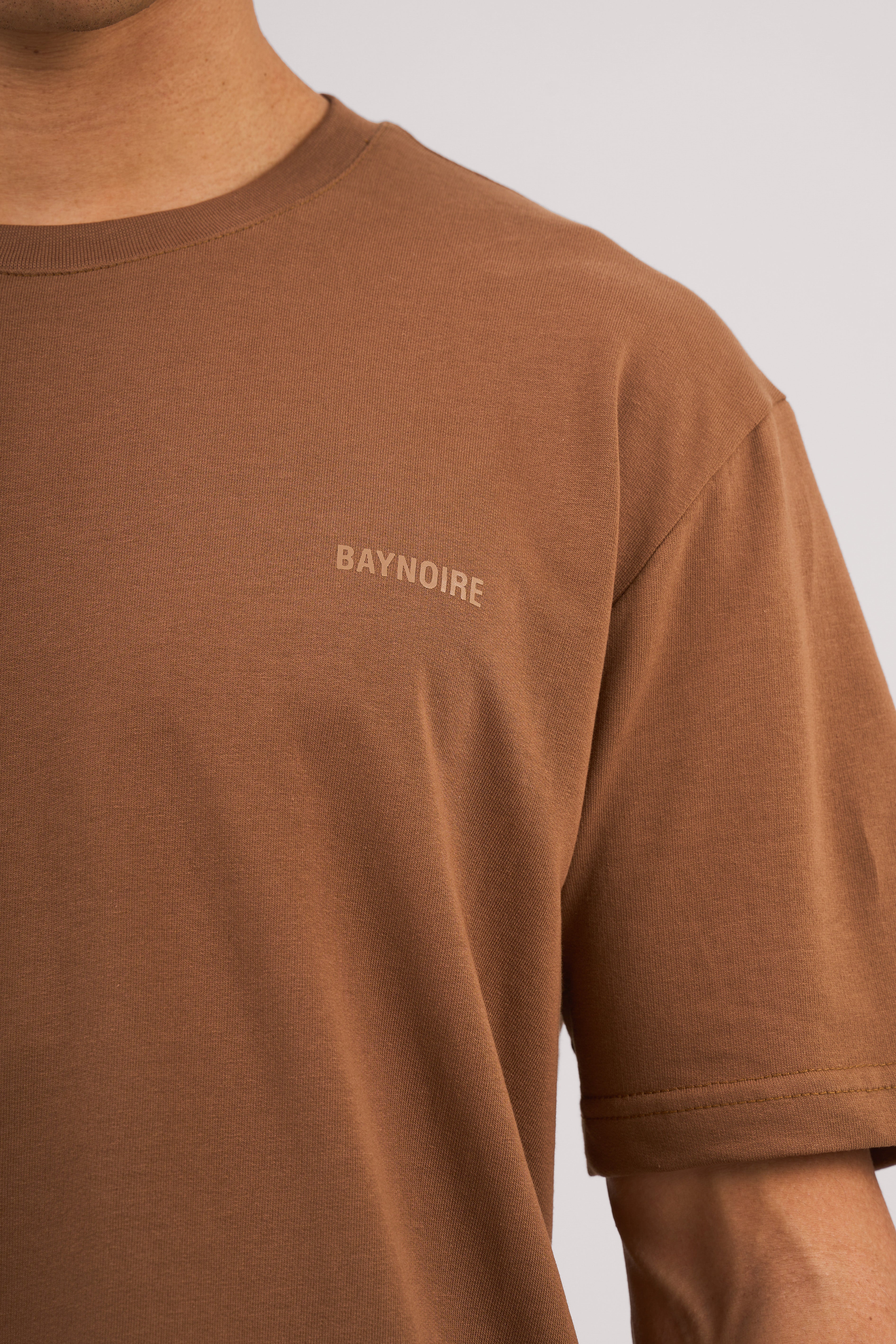 Brown Logo II PL Regular Fit T-shirt