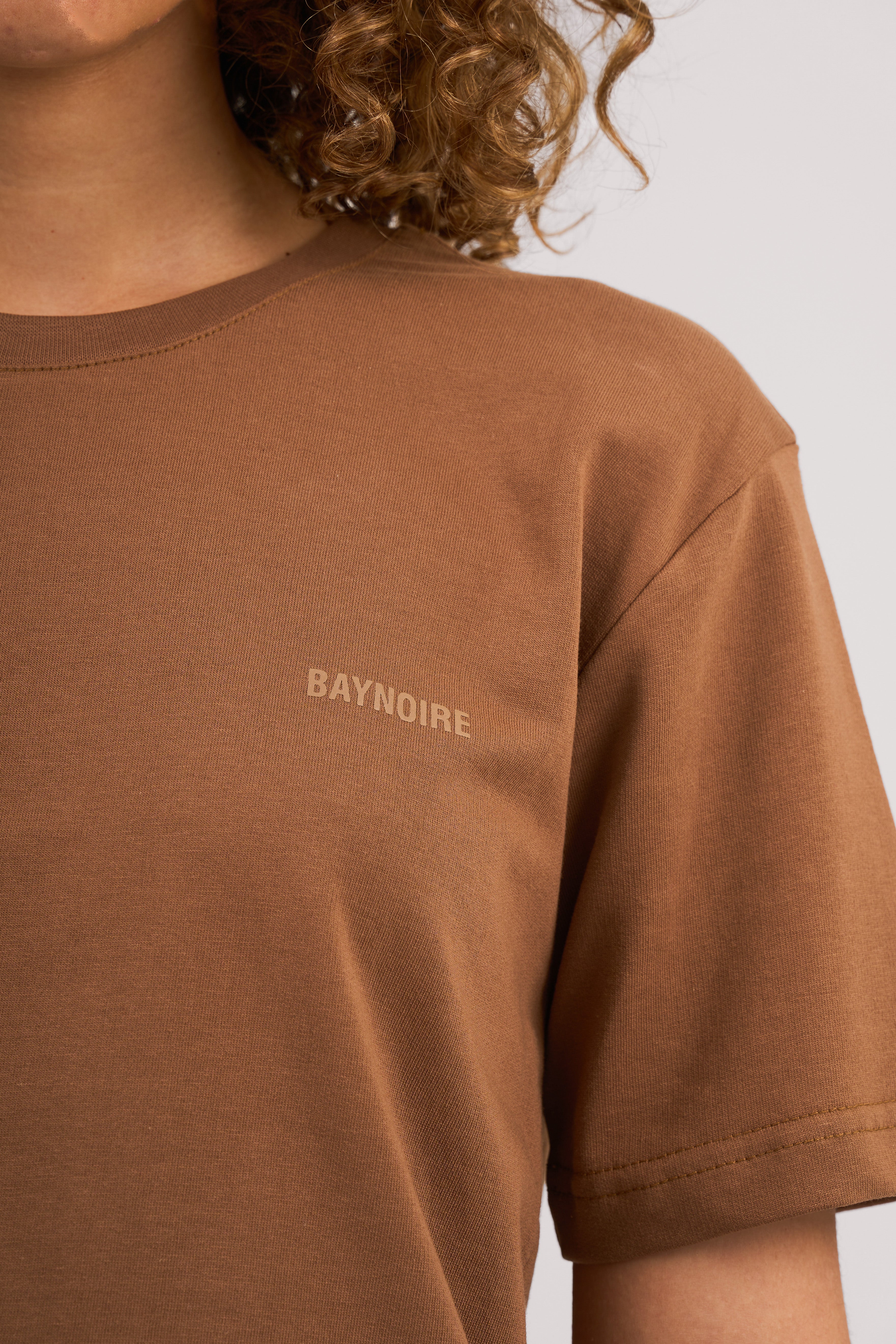 Brown Logo II PL Regular Fit T-shirt