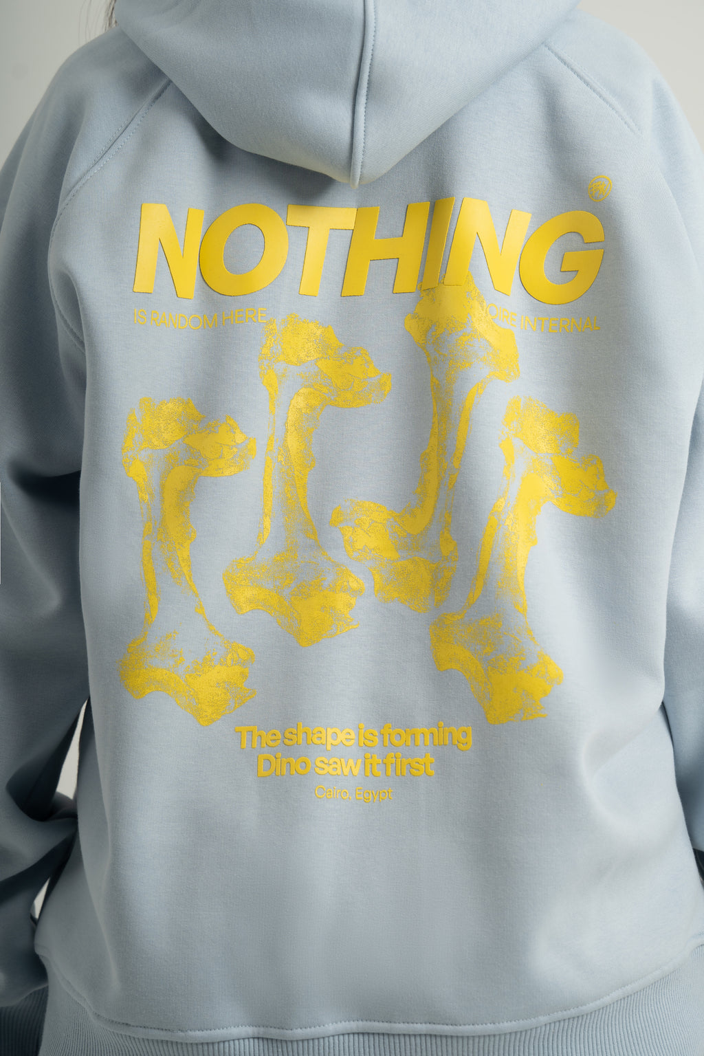 L Baby Blue Nothing Hoodie