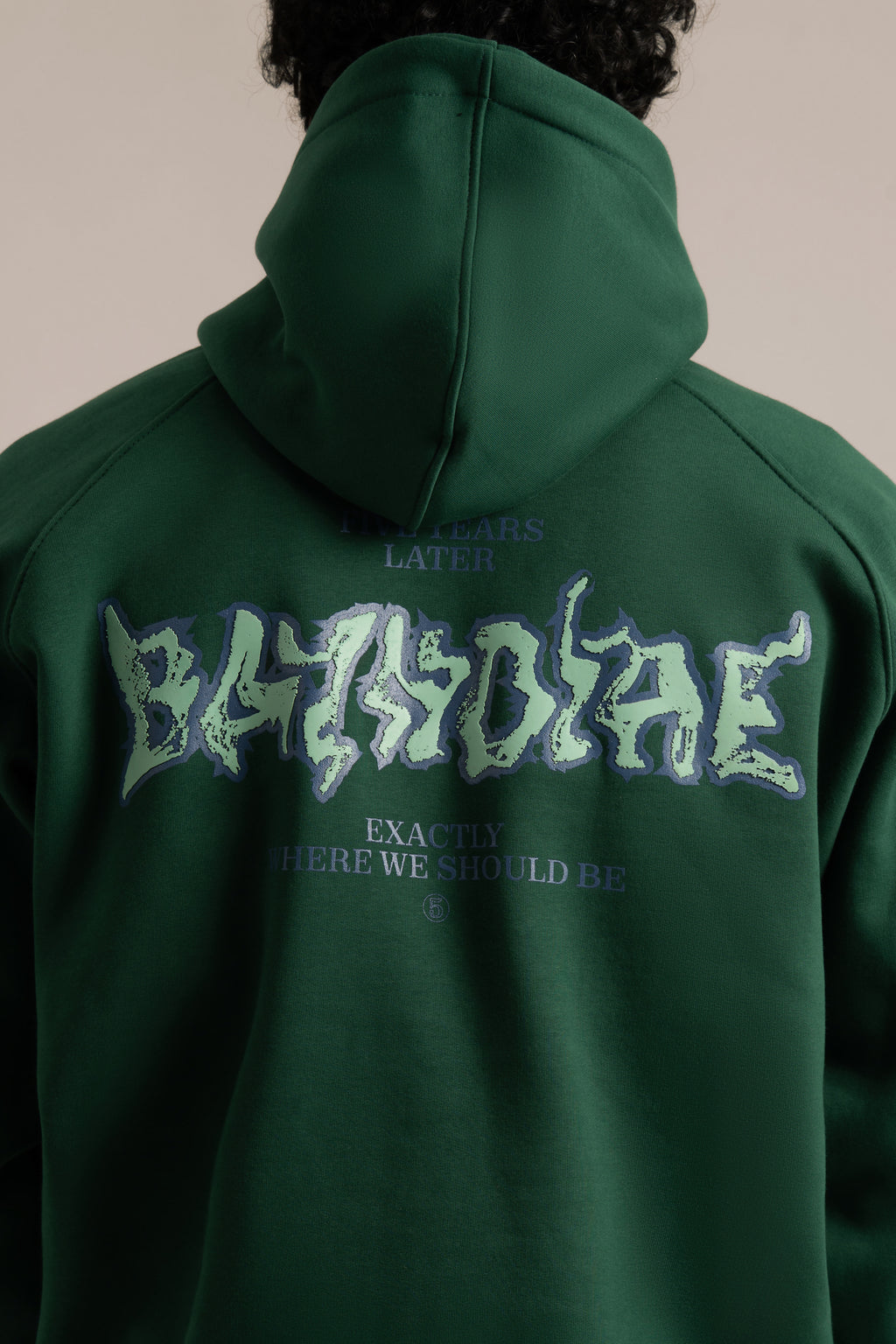 Forest Five Years Hoodie