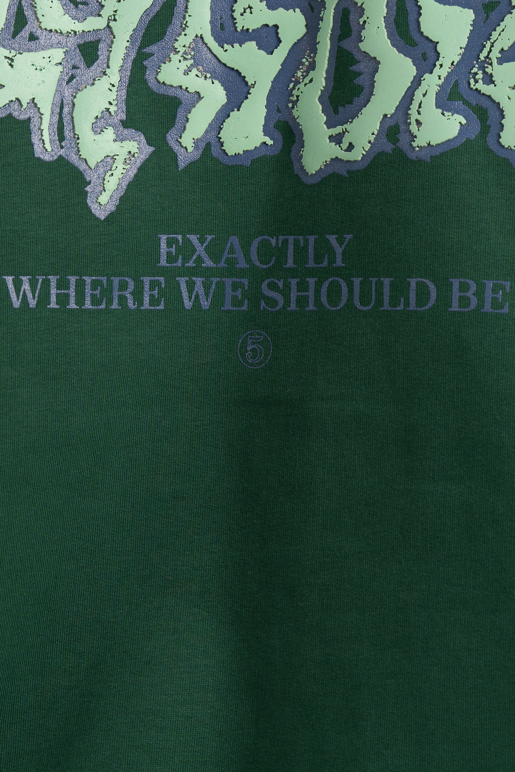 Forest Five Years Hoodie