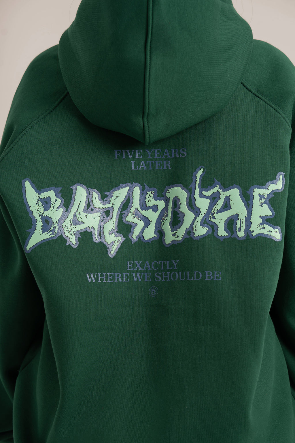 Forest Five Years Hoodie