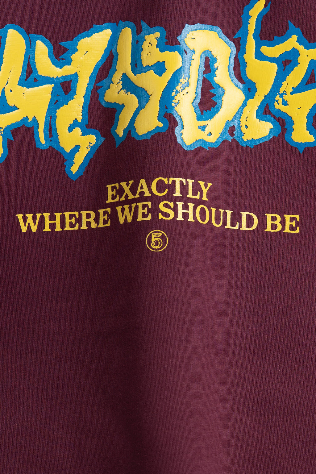 Burgundy Five Years Hoodie